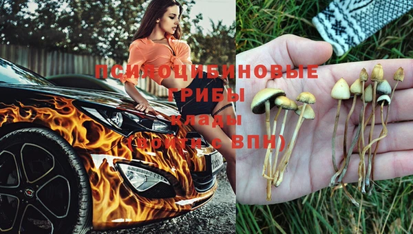винт Армянск