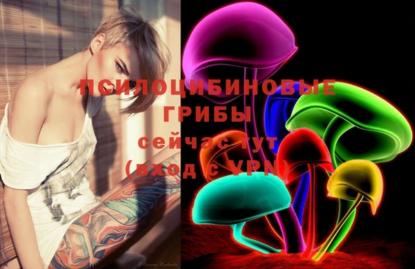 винт Армянск