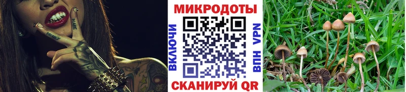 Галлюциногенные грибы MAGIC MUSHROOMS  darknet как зайти  Усть-Катав  гидра ССЫЛКА 